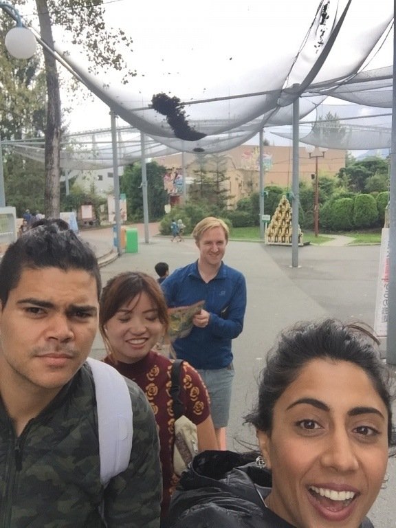 Hiking Fuji - Fuji Q highland