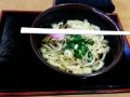 Shikoku - My first sanuki udon!